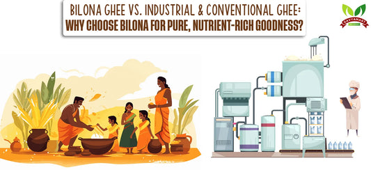 Bilona Processed Ghee Vs Industrial Ghee
