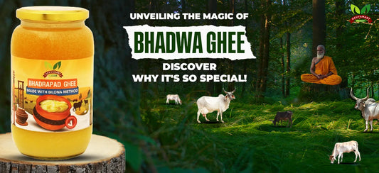 Bhadwa Ghee | Bhadrapad Ghee