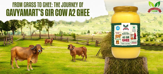 Desi Gir Ghee | Gir Cow Ghee | Pure Gir Ghee