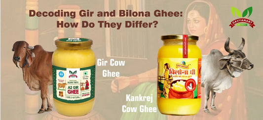 Decoding Gir and Bilona Ghee: How Do They Differ?