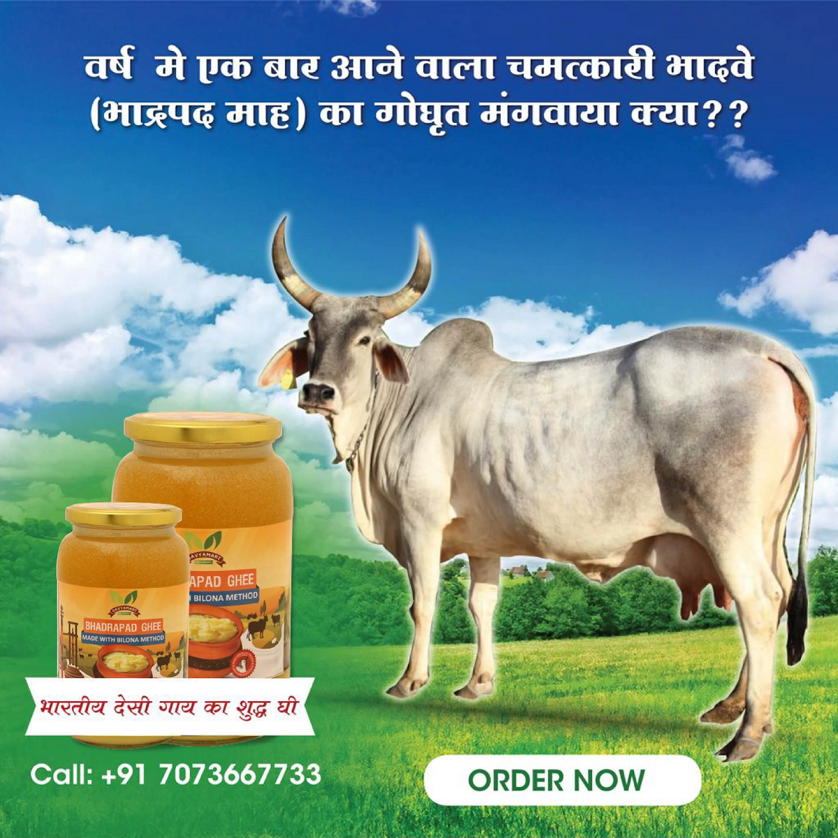 Gavyamart Bhadwa Ghee | Bhadrpada Ghee | Sudh Ghee