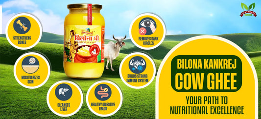 Bilona Ghee | Healthy Ghee
