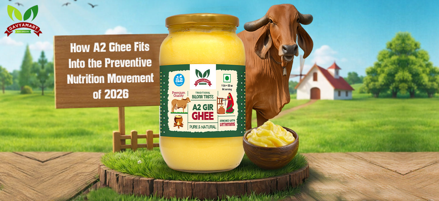 A2 Ghee benefits for immunity gut health and metabolic balance in 2026