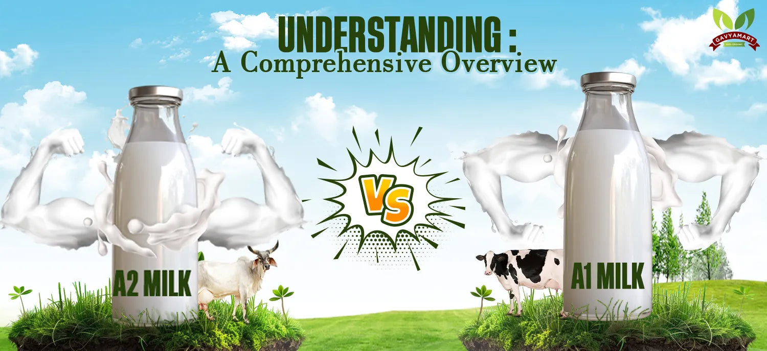A1 Vs A2 | A1 Milk Vs A2 Milk | what is A2 Milk 