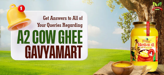 Best Pure A2 cow ghee | Faq's Regarding A2 Ghee