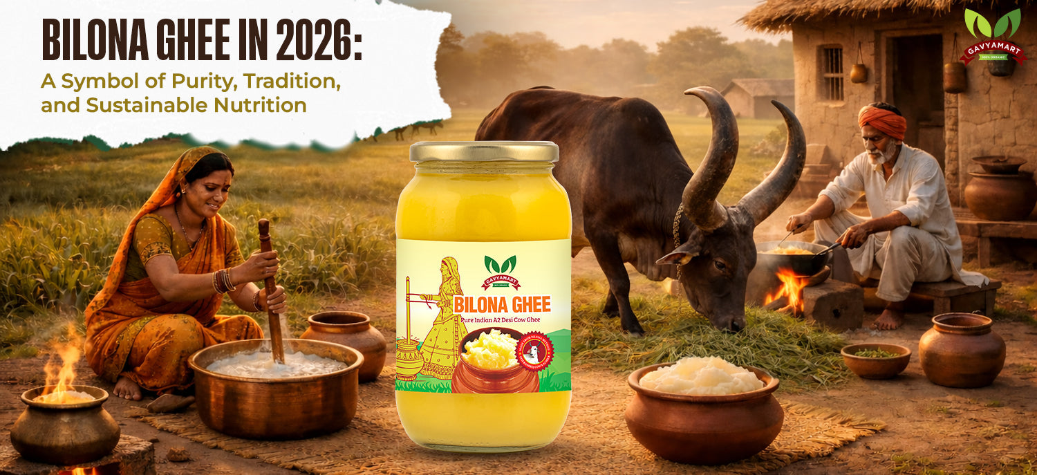 Bilona Ghee made using the traditional method from A2 cow milk representing purity, nutrition, and sustainable Indian dairy practices in 2026