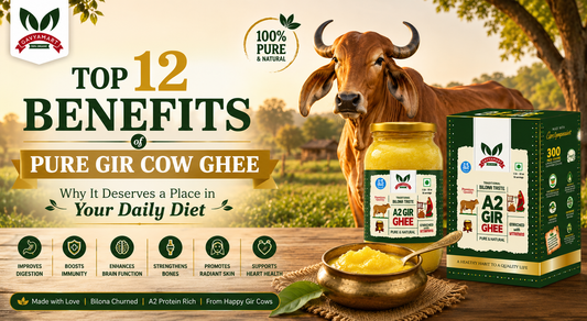 A2 Bilona Gir Cow Ghee for Daily Diet – Pure Desi Gir Cow Ghee by Gavyamart