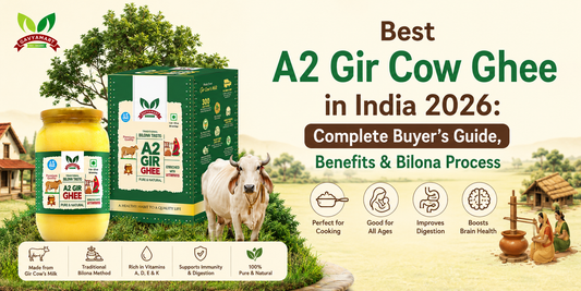 Best A2 Gir Cow Ghee in India 2026 – Gavyamart Traditional Bilona Ghee Made from Pure Gir Cow Milk with Natural Village-Based Bilona Process