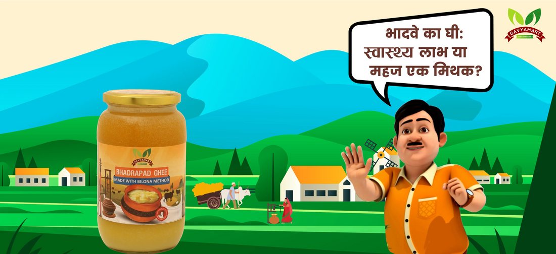 भादवे का घी: स्वास्थ्य लाभ या महज एक मिथक?