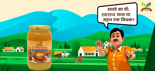 भादवे का घी: स्वास्थ्य लाभ या महज एक मिथक?