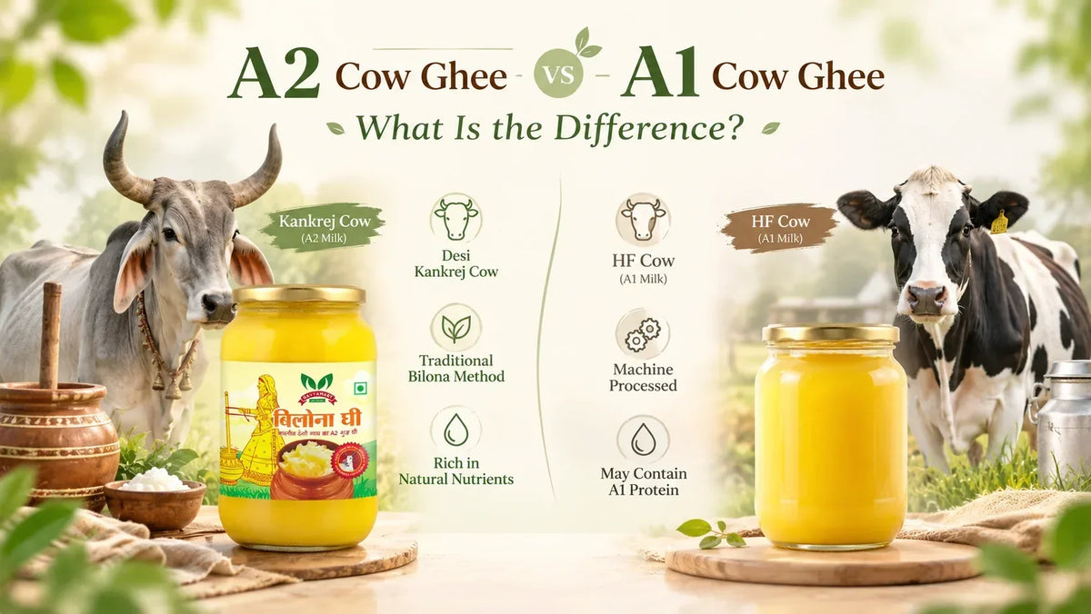 A2 Cow Ghee vs Desi Cow Ghee: traditional Gavyamart Bilona ghee made from indigenous Kankrej cow milk