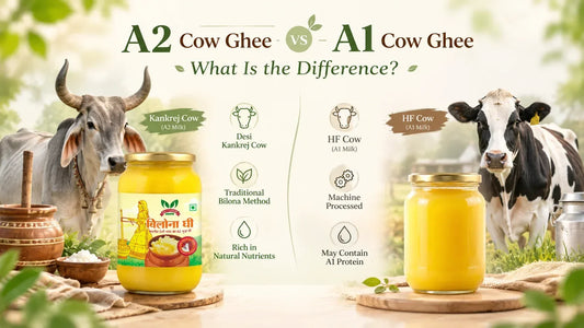 A2 Cow Ghee vs Desi Cow Ghee: traditional Gavyamart Bilona ghee made from indigenous Kankrej cow milk