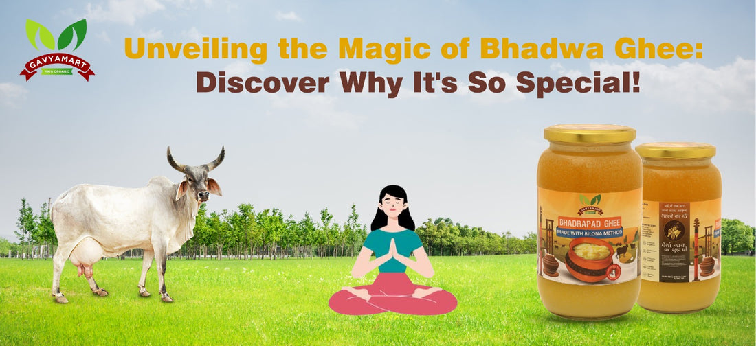Unveiling the Magic of Bhadwa Ghee: Discover Why It's So Special!
