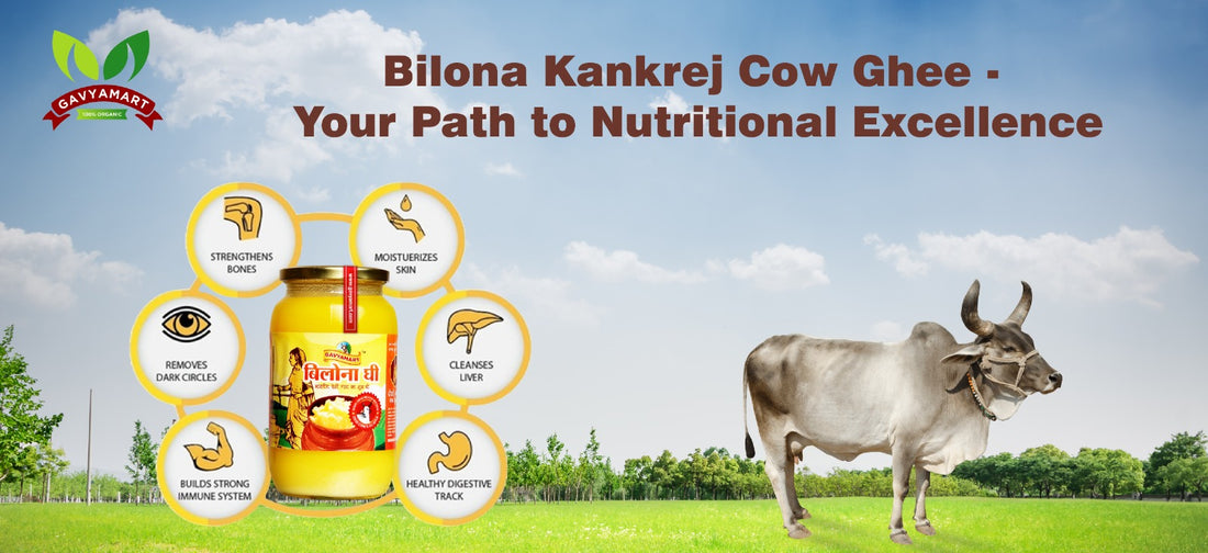 Bilona Kankrej Cow Ghee - Your Path to Nutritional Excellence