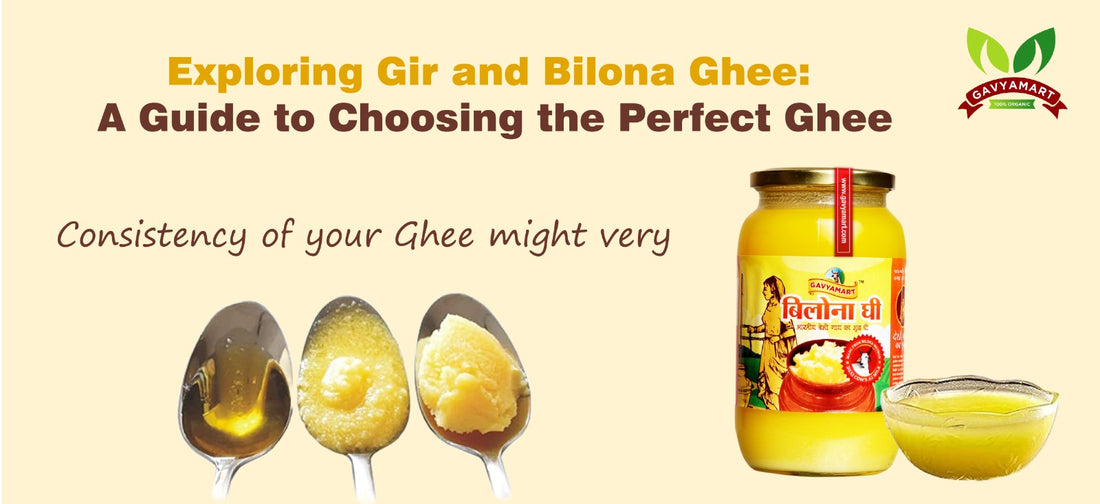 Exploring Gir and Bilona Ghee: A Guide to Choosing the Perfect Ghee
