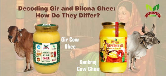 Bilona Ghee