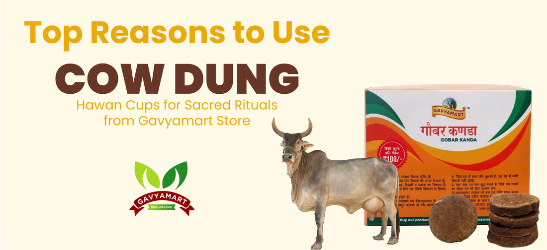 Top Reasons to Use Cow Dung Hawan Cups for Sacred Rituals from Gavyamart Store