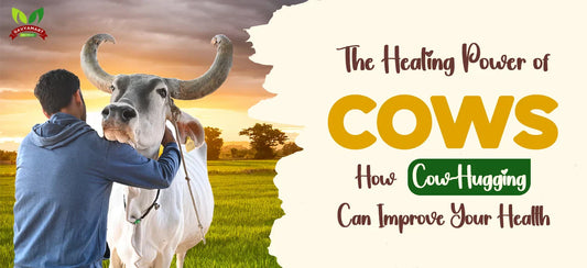 Cow Hugging | Cow| Animal hugging
