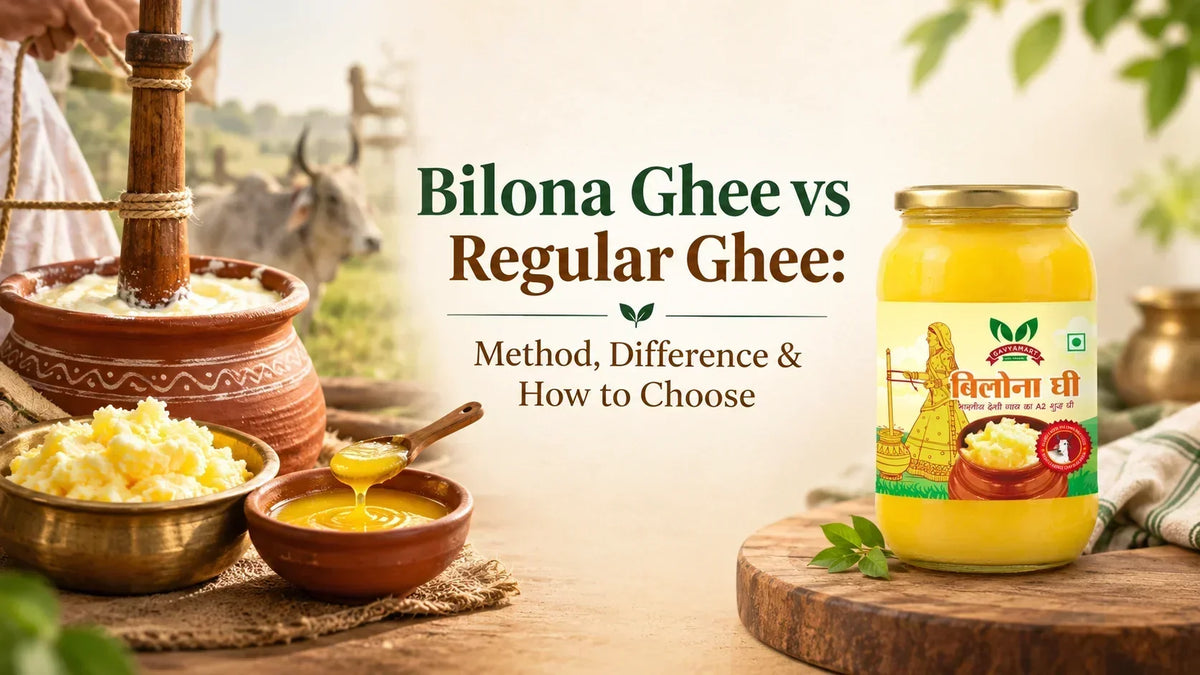 Bilona Ghee vs Regular Ghee: traditional curd churning with a wooden bilona to make Gavyamart A2 Bilona Ghee