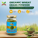 Wheat grass Powder | Wheat Powder | Best Wheatgrass Powder India | Premium Wheatgrass Powder | Wheatgrass Powder Online | Healthy Green Supplement | Green Superfood Powder | Organic Superfood 