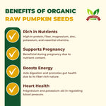 Premium Pumpkin Seeds | Organic Superfood Seeds | High Protein Snack | Roasted Seeds Online | Organic Pumpkin Seeds | Crunchy Pumpkin Seeds | Roasted Seed Snack  