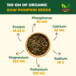 Premium Pumpkin Seeds | Organic Superfood Seeds | High Protein Snack | Roasted Seeds Online | Organic Pumpkin Seeds | Crunchy Pumpkin Seeds | Roasted Seed Snack  
