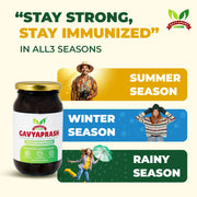 Best Chyawanprash in India | Premium Ayurvedic Chyawanprash | Natural Immunity Booster | Herbal Chyawanprash for Family | Healthy Lifestyle Supplemen