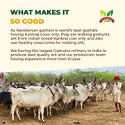Cow urine | Gaumutra Urine | Kankrej Cow | Gomutra Ark | Pure Gomutra Ark | Organic Gomutra Ark | Desi Cow Urine | Pure Kankrej Cow Gomutra | Pure Gir Cow Gomutra | Gomutra Ark Online | Natural Ayurvedic Remedies | Pure Cow-Based Products | Herbal Wellness Tonic 