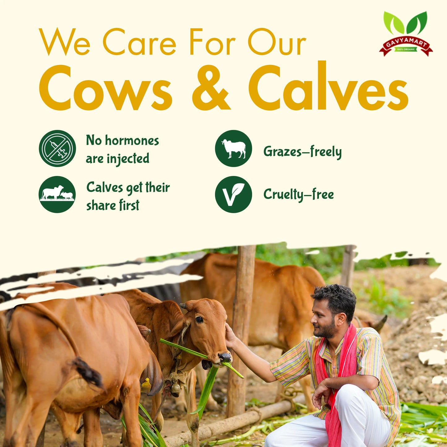 We Care For Our Cows & Calves