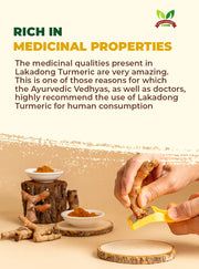 lakadong turmeric powder | Turmeric powder | Turmeric 