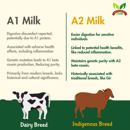 DIfference Between A1 Milk And A2 Milk