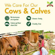 A2 Ghee Online | Pure Gir Cow A2 Ghee – Gavyamart