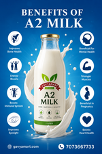 A2 Gir Cow Milk in Ahmedabad