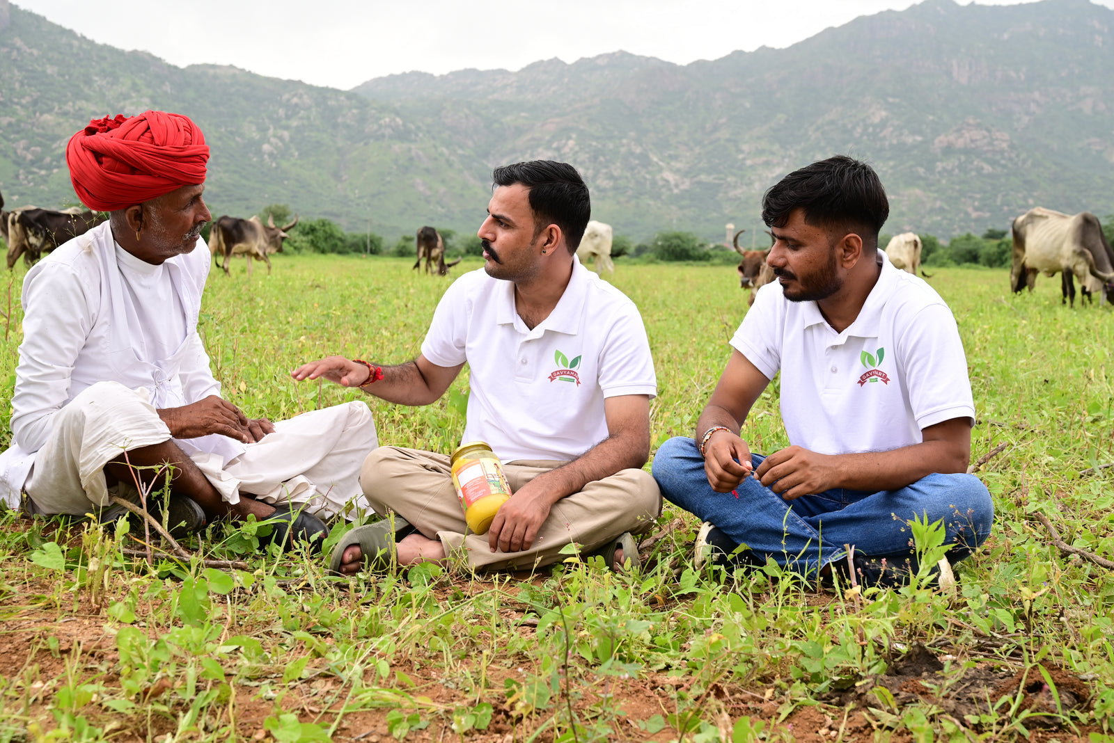 Gavyamart team speaking with a Rabari cattle keeper in the pasture