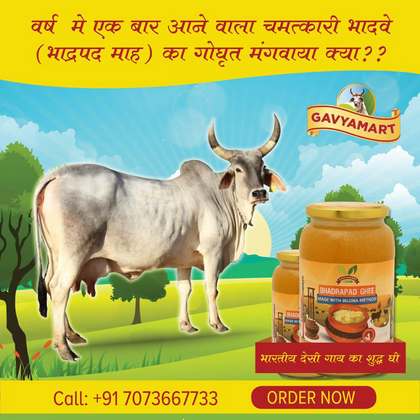 Gavyamart Bhadwa Ghee - 1 LITER