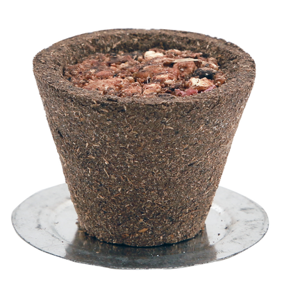 Cow Dung Panchgavya Sambrani Havan Cups 12 pc