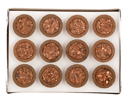 Cow Dung Panchgavya Sambrani Havan Cups 12 pc